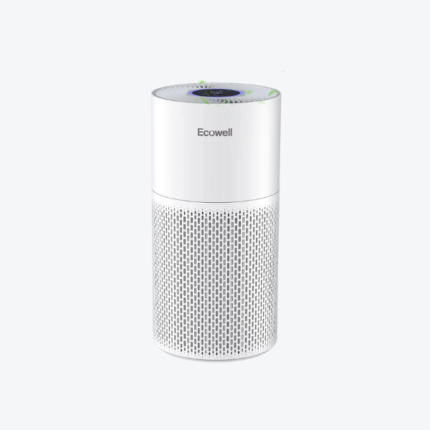 Air Purifiers for Home Large Room